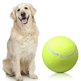 Giant Tennis Ball for Dogs – Durable Inflatable Pet Toy 24cm