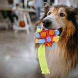 Interactive Dog Treat Ball – Foraging Toy with Hidden Fabric Pockets