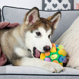 Interactive Dog Treat Ball – Foraging Toy with Hidden Fabric Pockets