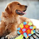 Interactive Dog Treat Ball – Foraging Toy with Hidden Fabric Pockets