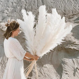 Natural Dried Pampas Grass Plumes - Home & Event Decor