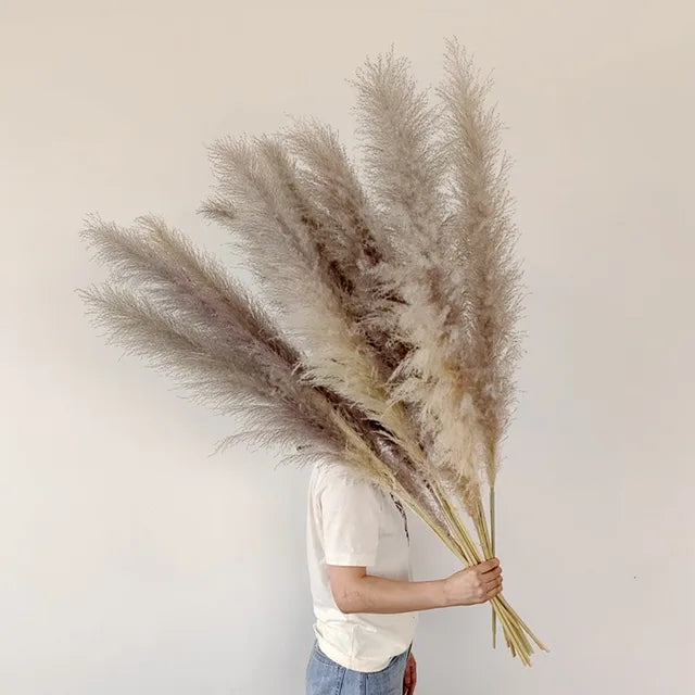 Natural Dried Pampas Grass Plumes - Home & Event Decor