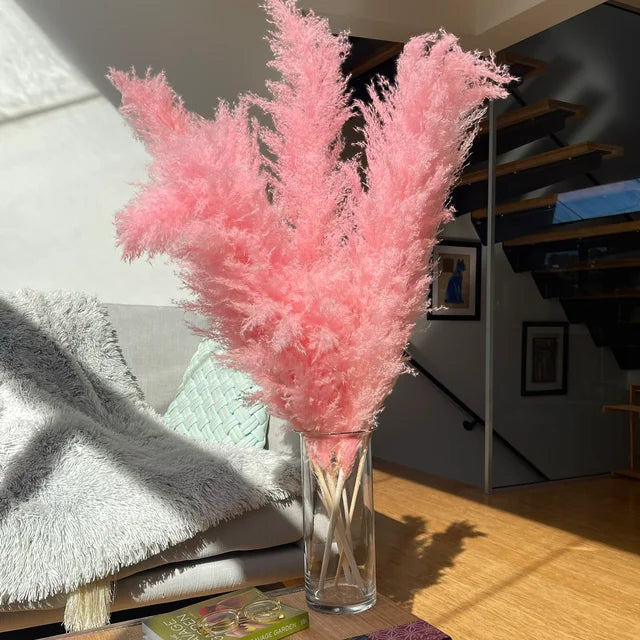 Natural Dried Pampas Grass Plumes - Home & Event Decor