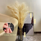 Natural Dried Pampas Grass Plumes - Home & Event Decor