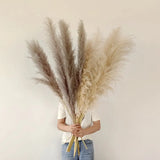 Natural Dried Pampas Grass Plumes - Home & Event Decor