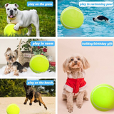 Giant Tennis Ball for Dogs – Durable Inflatable Pet Toy 24cm