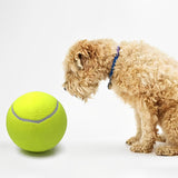 Giant Tennis Ball for Dogs – Durable Inflatable Pet Toy 24cm