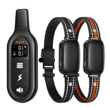 Rechargeable Waterproof Dog Training Collar with Remote Control