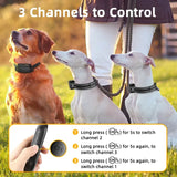 Rechargeable Waterproof Dog Training Collar with Remote Control