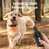 Rechargeable Waterproof Dog Training Collar with Remote Control