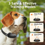 Rechargeable Waterproof Dog Training Collar with Remote Control
